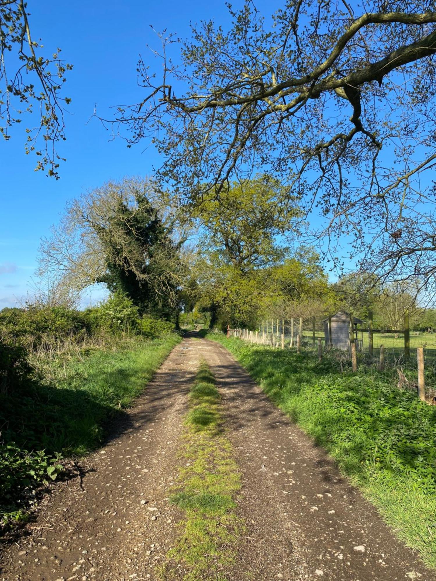 Blossom Lodge - Detached Bungalow Near Kings Lynn Narborough  ภายนอก รูปภาพ